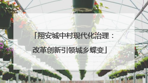 翔安城中村现代化治理：改革创新引领城乡蝶变