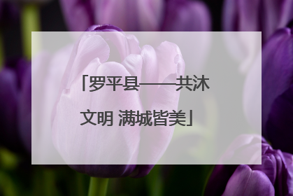 罗平县——共沐文明 满城皆美