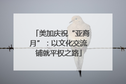 美加庆祝“亚裔月”：以文化交流铺就平权之路