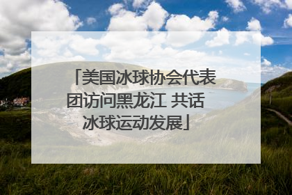 美国冰球协会代表团访问黑龙江 共话冰球运动发展