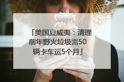美国夏威夷：清理前年野火垃圾需50辆卡车运5个月