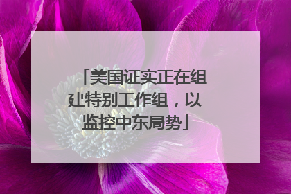 美国证实正在组建特别工作组，以监控中东局势