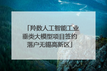 羚数人工智能工业垂类大模型项目签约落户无锡高新区