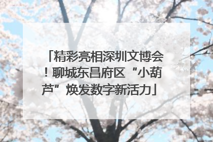 精彩亮相深圳文博会！聊城东昌府区“小葫芦”焕发数字新活力