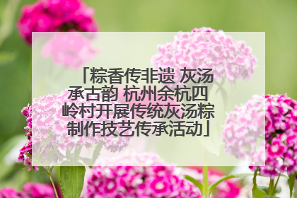 粽香传非遗 灰汤承古韵 杭州余杭四岭村开展传统灰汤粽制作技艺传承活动