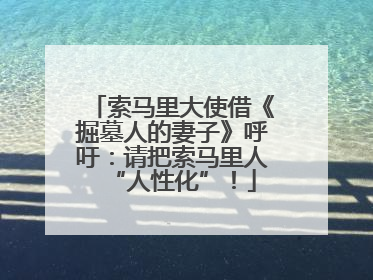 索马里大使借《掘墓人的妻子》呼吁：请把索马里人“人性化”！