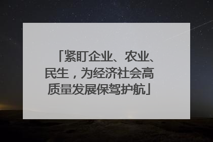 紧盯企业、农业、民生，为经济社会高质量发展保驾护航