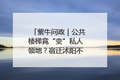 紫牛问政｜公共楼梯竟“变”私人领地？宿迁沭阳不动产登记引质疑