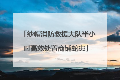 纱帽消防救援大队半小时高效处置商铺蛇患