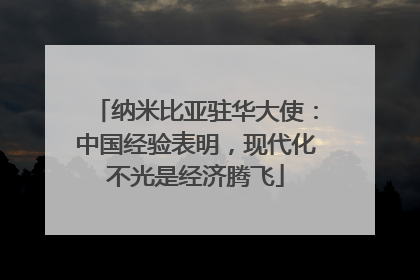纳米比亚驻华大使：中国经验表明，现代化不光是经济腾飞