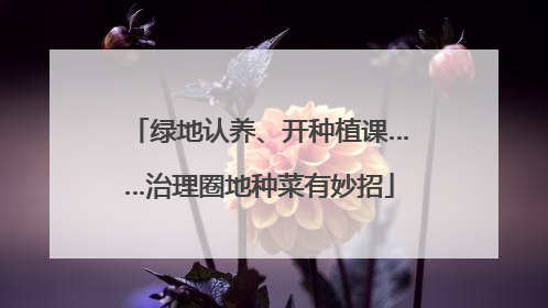 绿地认养、开种植课……治理圈地种菜有妙招