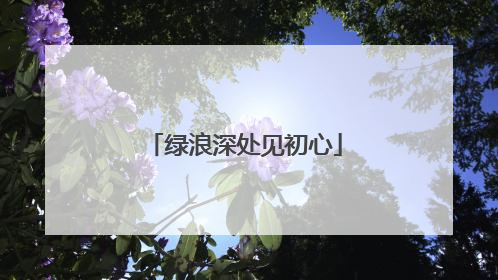 绿浪深处见初心