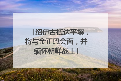 绍伊古抵达平壤，将与金正恩会面，并缅怀朝鲜战士
