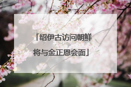 绍伊古访问朝鲜 将与金正恩会面
