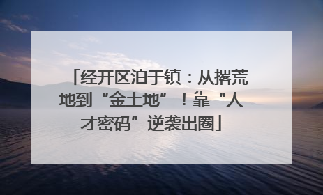 经开区泊于镇：从撂荒地到“金土地”！靠“人才密码”逆袭出圈