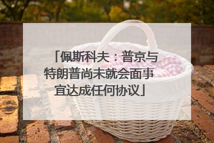 佩斯科夫：普京与特朗普尚未就会面事宜达成任何协议