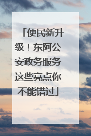 便民新升级！东阿公安政务服务这些亮点你不能错过