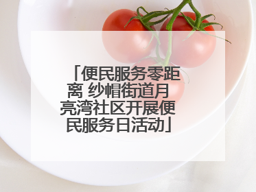 便民服务零距离 纱帽街道月亮湾社区开展便民服务日活动