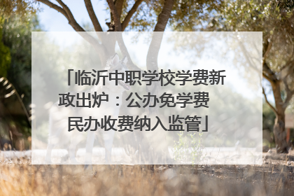 临沂中职学校学费新政出炉：公办免学费 民办收费纳入监管