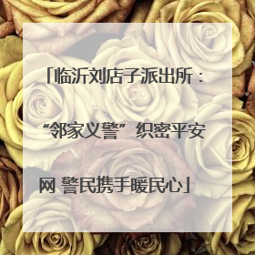 临沂刘店子派出所：“邻家义警”织密平安网 警民携手暖民心