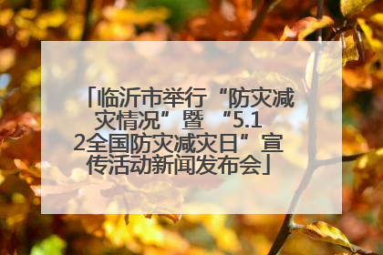 临沂市举行“防灾减灾情况”暨 “5.12全国防灾减灾日”宣传活动新闻发布会