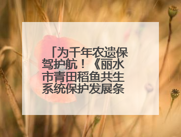 为千年农遗保驾护航！《丽水市青田稻鱼共生系统保护发展条例》正式施行
