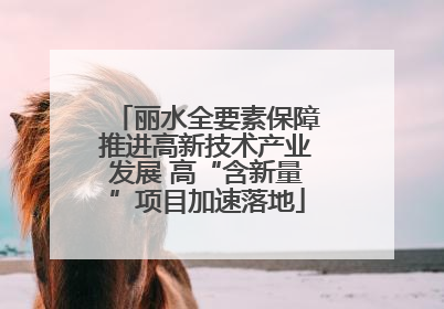 丽水全要素保障推进高新技术产业发展 高“含新量”项目加速落地