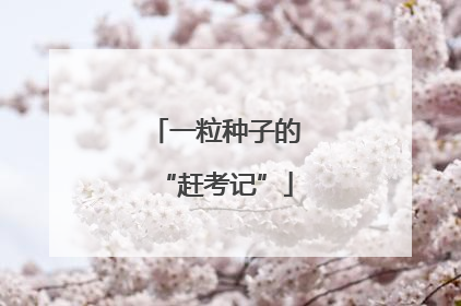 一粒种子的“赶考记”
