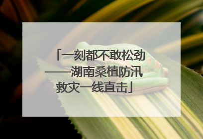 一刻都不敢松劲——湖南桑植防汛救灾一线直击