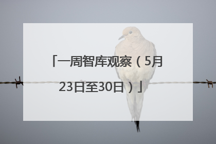一周智库观察（5月23日至30日）