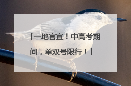 一地官宣！中高考期间，单双号限行！