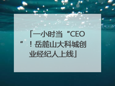 一小时当“CEO”！岳麓山大科城创业经纪人上线