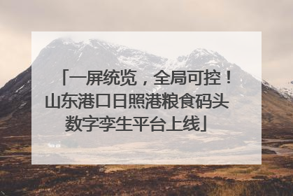 一屏统览，全局可控！山东港口日照港粮食码头数字孪生平台上线