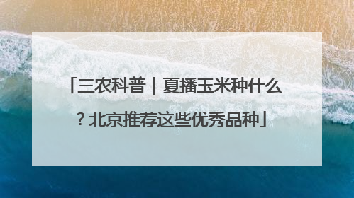 三农科普｜夏播玉米种什么？北京推荐这些优秀品种