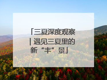 三夏深度观察｜遇见三夏里的新“丰”景