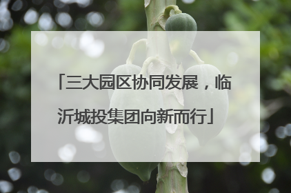 三大园区协同发展，临沂城投集团向新而行