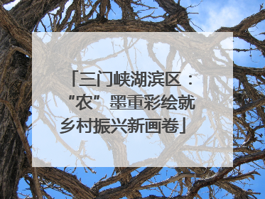 三门峡湖滨区：“农”墨重彩绘就乡村振兴新画卷