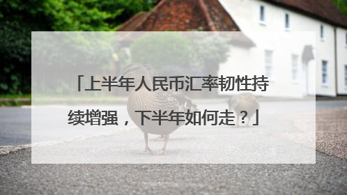 上半年人民币汇率韧性持续增强，下半年如何走？