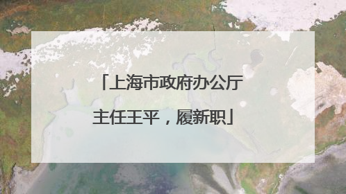 上海市政府办公厅主任王平，履新职