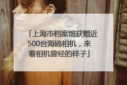 上海市档案馆获赠近500台海鸥相机，来看相机曾经的样子