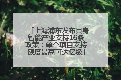 上海浦东发布具身智能产业支持16条政策：单个项目支持额度最高可达亿级