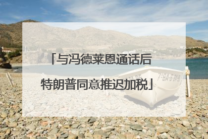 与冯德莱恩通话后 特朗普同意推迟加税