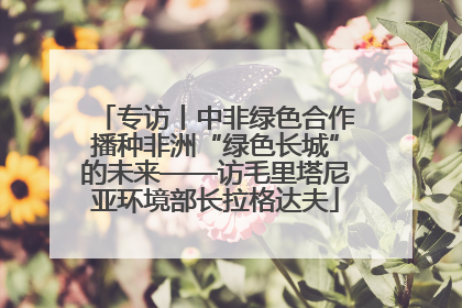 专访丨中非绿色合作播种非洲“绿色长城”的未来——访毛里塔尼亚环境部长拉格达夫