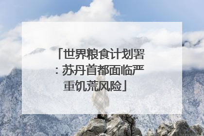 世界粮食计划署：苏丹首都面临严重饥荒风险