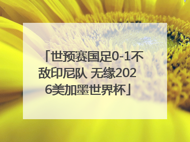 世预赛国足0-1不敌印尼队 无缘2026美加墨世界杯