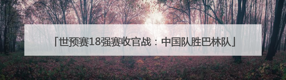 世预赛18强赛收官战：中国队胜巴林队