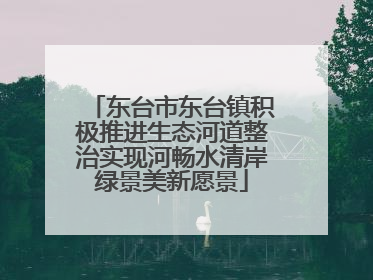 东台市东台镇积极推进生态河道整治实现河畅水清岸绿景美新愿景