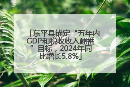 东平县锚定“五年内GDP和税收收入翻番”目标，2024年同比增长5.8%