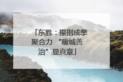 东胜：攥指成拳聚合力 “暖城善治”显真章