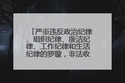 严重违反政治纪律、组织纪律、廉洁纪律、工作纪律和生活纪律的罗璇，非法收受他人巨额财物